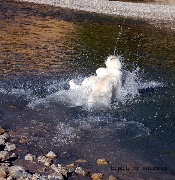 baignade dans le Cerdon septembre 2013
